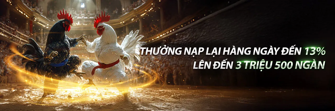 Đá gà trực tuyến 333 vin