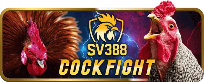 Lợi ích thành viên 333 vin